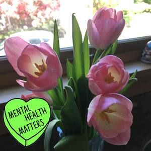 Meet your Posher, Serina